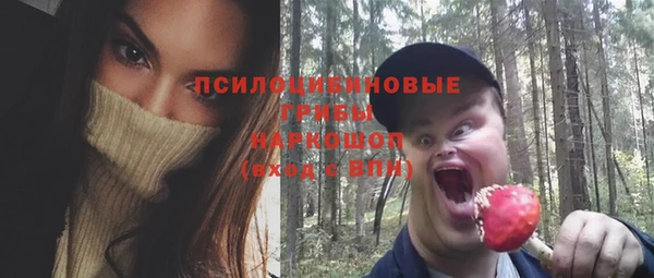 соль ск Вязники